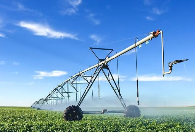 Agriculture-O.L-S2-Courses_result