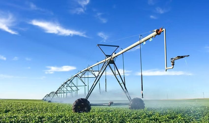 Agriculture-O.L-S2-Courses_result