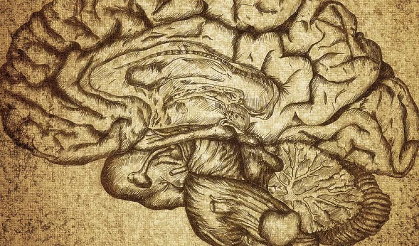 Biology-O.L-S1-Courses_result