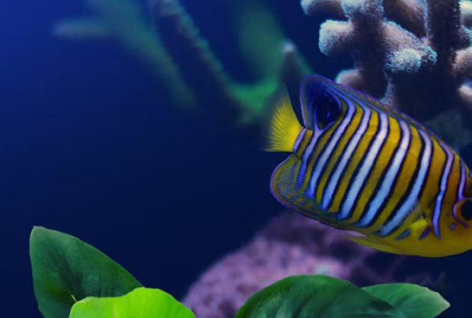 Biology-O.L-S2-Courses_result