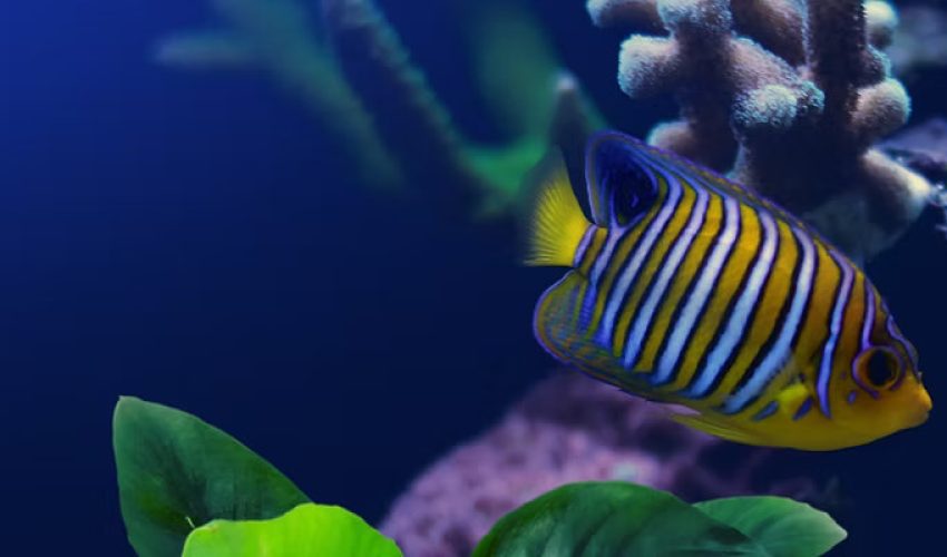 Biology-O.L-S2-Courses_result