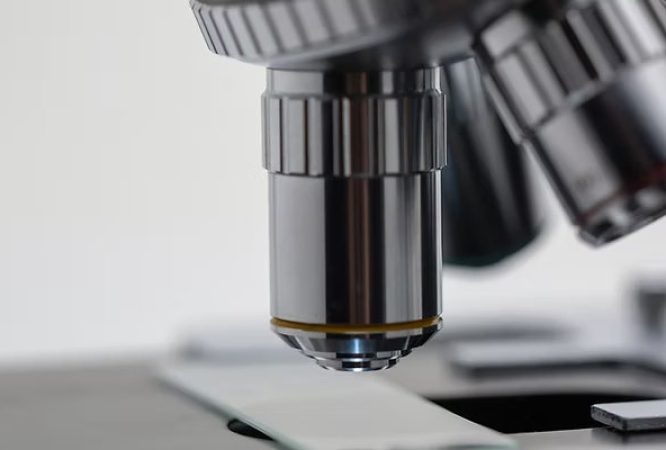 Biology-O.L-S3-Courses_result