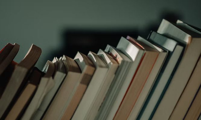 English-O.L-S1-Courses_result