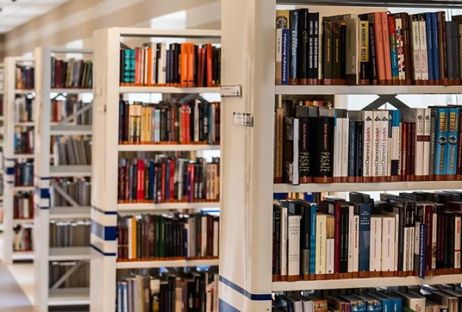 English-O.L-S2-Courses_result