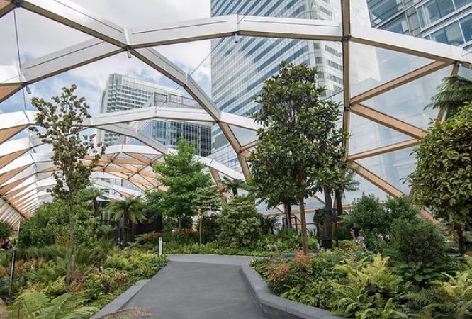 English-O.L-S3-Courses_result