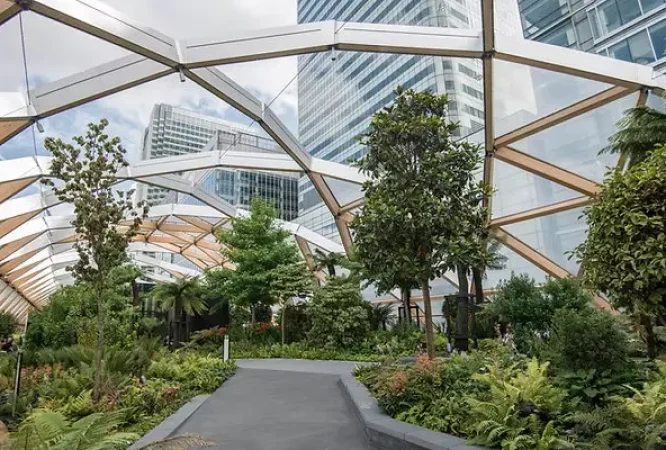 English-O.L-S3-Courses_result