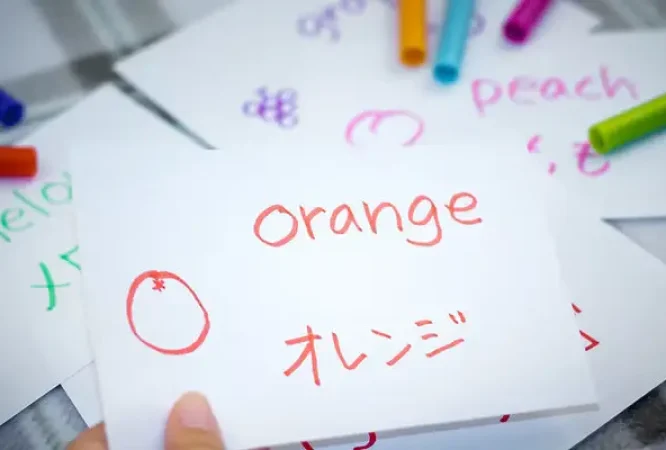 English-Primary-4-Courses_result