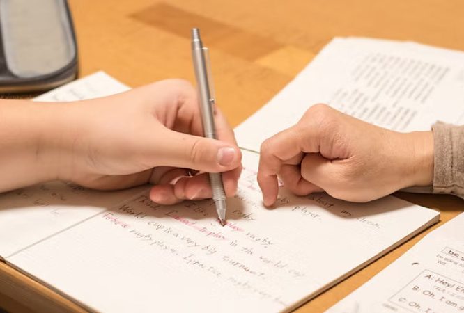 English-Primary-6-Courses_result