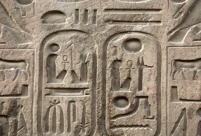 History-O.L-S3-Courses_result