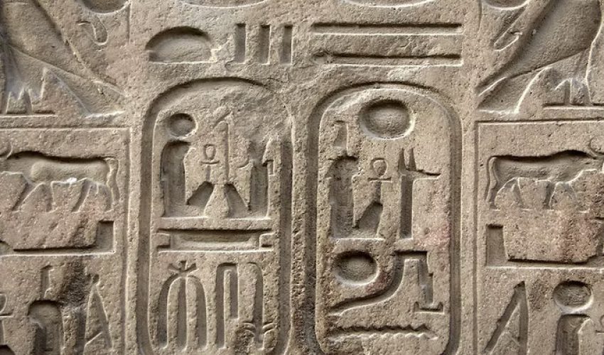 History-O.L-S3-Courses_result