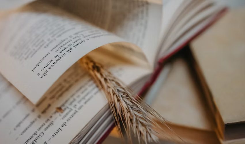 Kinyarwanda-O.L-S1-Courses_result