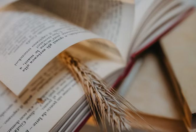 Kinyarwanda-O.L-S1-Courses_result