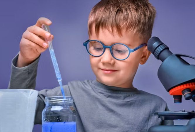 SET-Primary-4-Courses_result