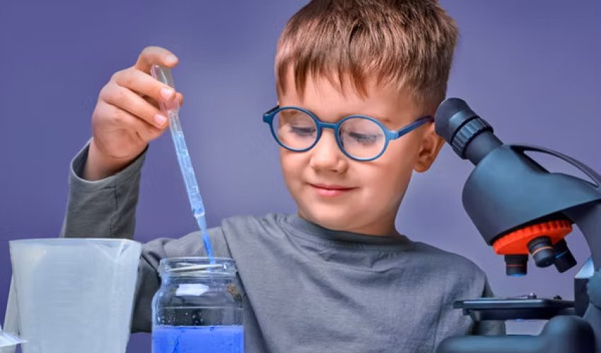 SET-Primary-4-Courses_result