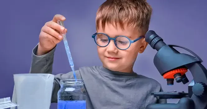 SET-Primary-4-Courses_result