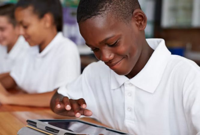 SET-Primary-5-Courses_result