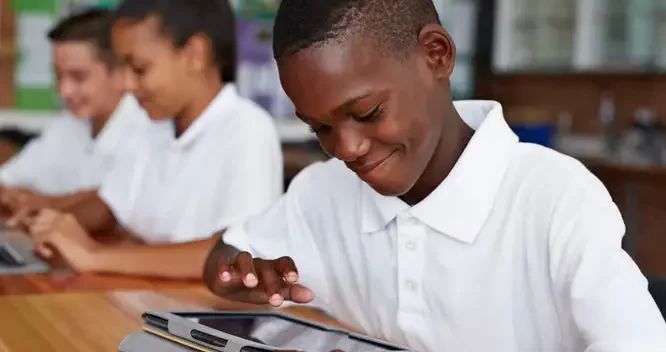 SET-Primary-5-Courses_result