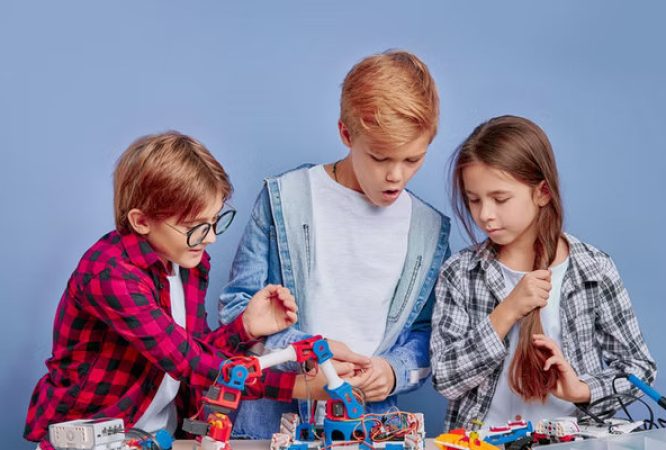 SET-Primary-6-Courses_result