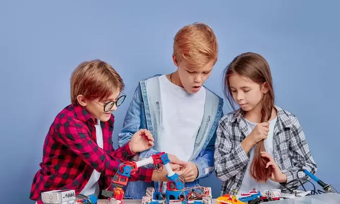 SET-Primary-6-Courses_result