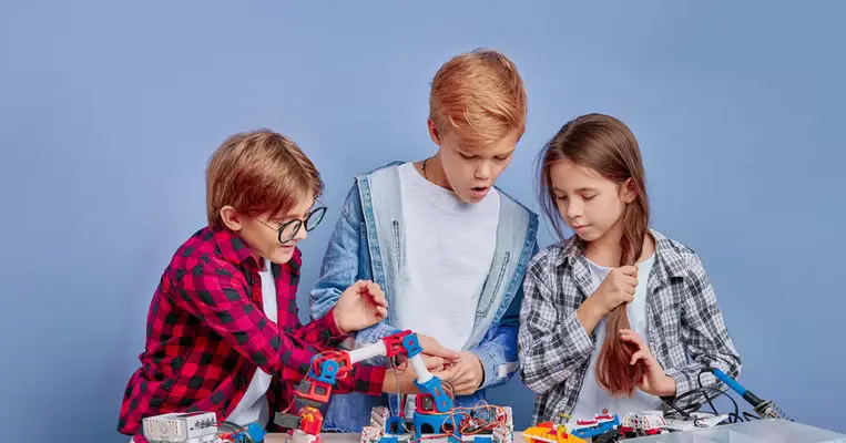 SET-Primary-6-Courses_result