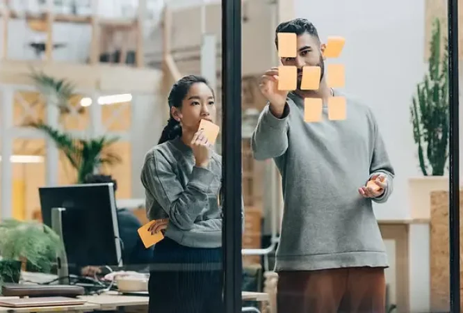 SRS-Primary-5-Courses_result