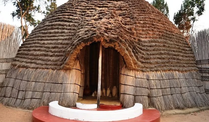 SRS-Primary-6-Courses_result