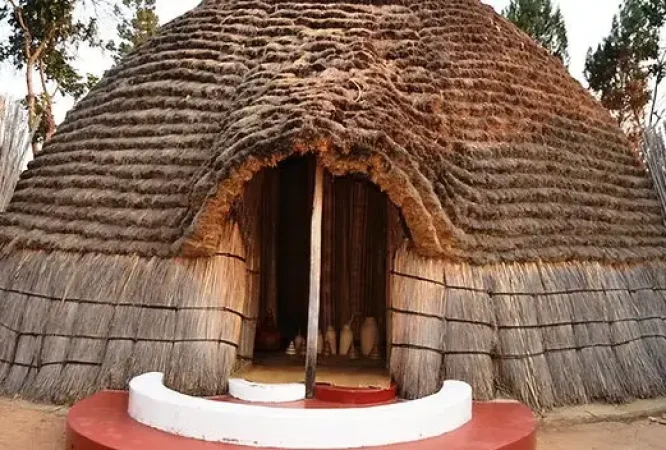 SRS-Primary-6-Courses_result