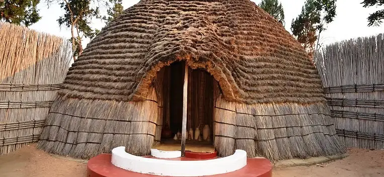 SRS-Primary-6-Courses_result